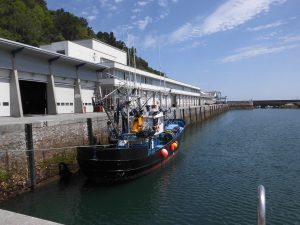 cofradía de Mareantes de Hondarribia